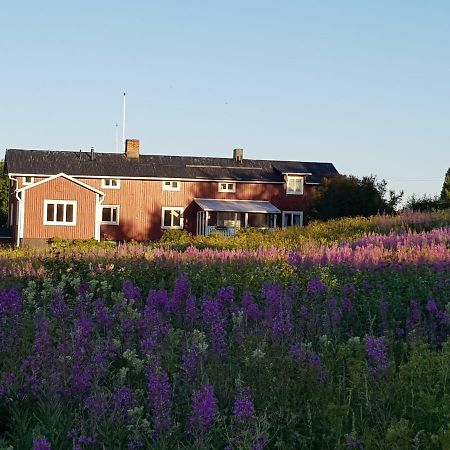 The Friendly Moose Hotel Overtornea Bagian luar foto