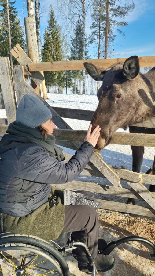 The Friendly Moose Hotel Overtornea Bagian luar foto