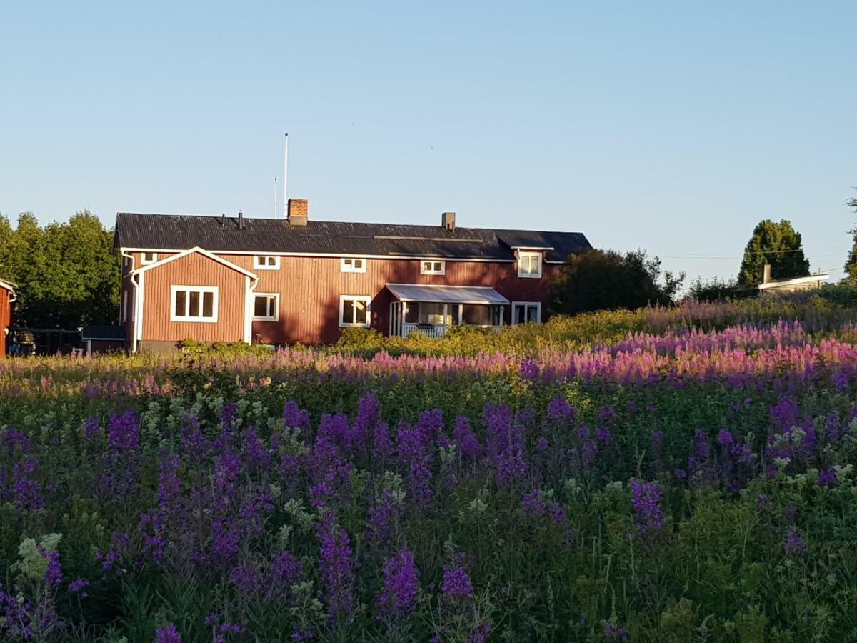 The Friendly Moose Hotel Overtornea Bagian luar foto