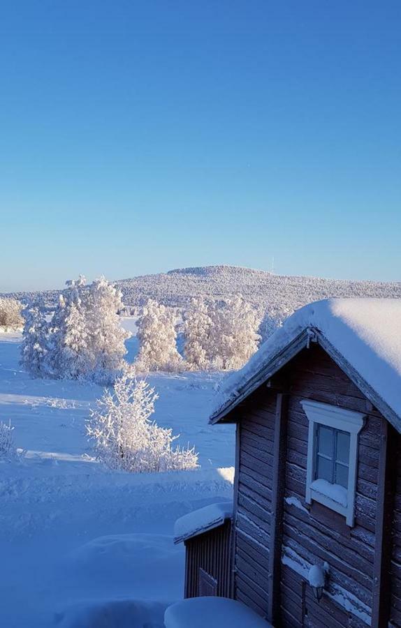 The Friendly Moose Hotel Overtornea Bagian luar foto
