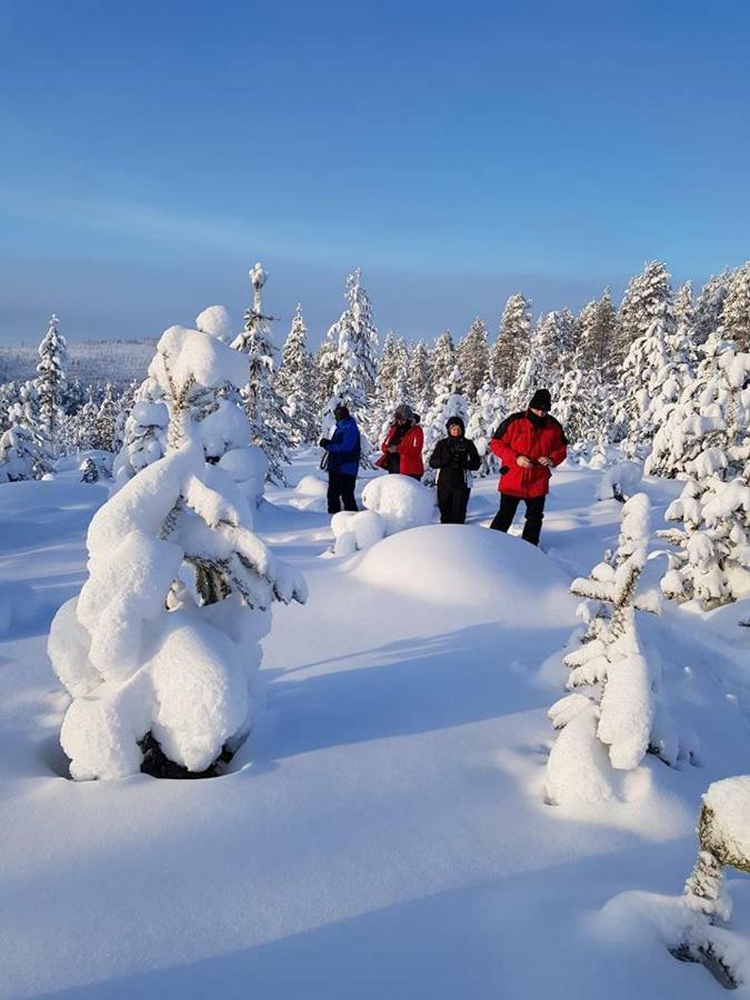 The Friendly Moose Hotel Overtornea Bagian luar foto